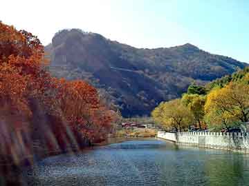 新澳天天开奖资料大全旅游团，开利配件